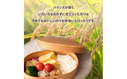 令和6年産米 土浦市産 コシヒカリ 精米5kg ｜ 茨城県土浦市のお米が収穫される旧新治村地区は、ホタルが舞うのどかな里です ※離島への配送不可　※2024年9月下旬～2025年8月上旬頃に順次発送予