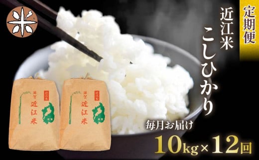 【 先行受付 】 令和6年産 新米 こしひかり 定期便 10kg 全12回 白米 5㎏ × 2袋 12ヶ月 近江米 コシヒカリ 国産 お米 米 おこめ ごはん ご飯 白飯 しろめし こめ ゴハン 御飯 滋賀県産 竜王 ふるさと ランキング 人気 おすすめ