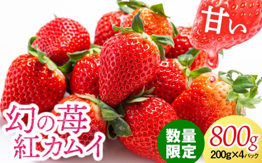 フルーツ 果物 いちご 高設栽培 冷蔵 紅カムイ 800g 200g×4パック お菓子作り 希少 苺 イチゴ 先行予約