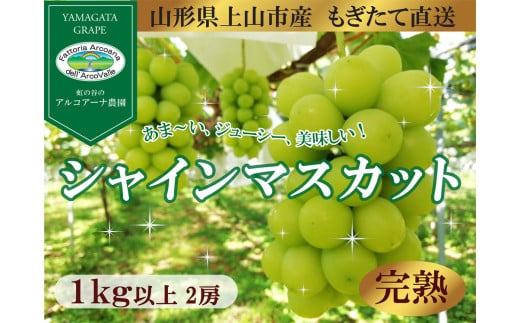 【樹上完熟】シャインマスカット　１ｋｇ（もぎたて直送）　0148-2512