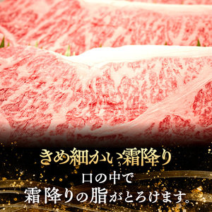伊賀牛 サーロイン ステーキ 250g 3枚 伊賀牛
