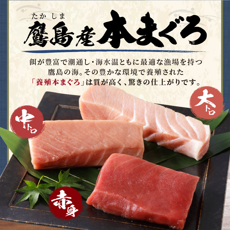鷹島産本まぐろ柵(赤身・中トロ・大トロ) 合わせて1000g( マグロ まぐろ 赤身 中トロ 大トロ 本まぐろ 手軽 おつまみ 柵 流水解凍 )【E2-014】