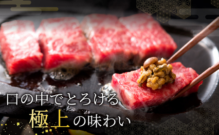  神戸牛 焼肉 赤身 800g【あしや竹園】[ 牛肉 ギフト 贈答用 ]