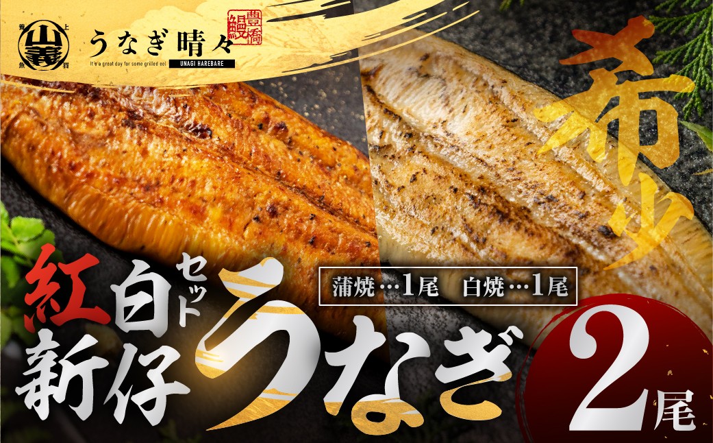 
                  山義養魚の『うなぎ晴々』紅白セット ２尾（蒲焼１尾、白焼１尾） 希少 豊橋うなぎ 蒲焼 厳選 国産 新仔うなぎ 若うなぎ 鰻 ウナギ うなぎ ひつまぶし 土用丑の日 冷凍 丑の日 ご自宅 簡単調理 お取り寄せ 送料無料 お中元 お歳暮 贈答 ギフト タレ・山椒・岩塩つき 15000円 正月 ごちそう【選べるお届け時期】
                