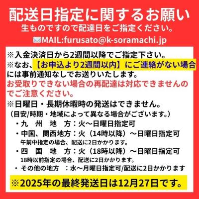 ふるさと納税 肝付町 産地直送!辺塚だいだいカンパチ(約3.5kg・1本) 　B08002 |  | 01