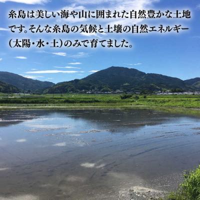 ふるさと納税 糸島市 【令和7年産】伊都の米(ヒノヒカリ)2kg 糸島市/伊都福祉サービス協会[APL001] |  | 03