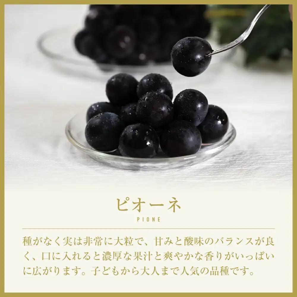 【2026年発送★先行予約】山梨県笛吹市産　旬の採れたてピオーネ　約1kg　2～3房 105-014-26y