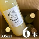 【ふるさと納税】新鮮なうちに絞った果汁100％りんごジュース 335ml×6本セット《なんぶ平野農園》