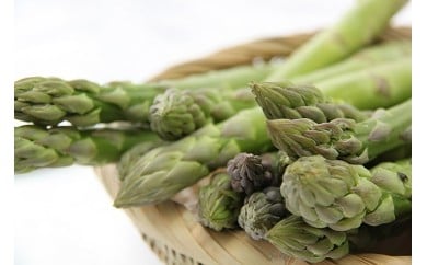Z01　金山農場　グリーンアスパラガス（L～２Lサイズ）