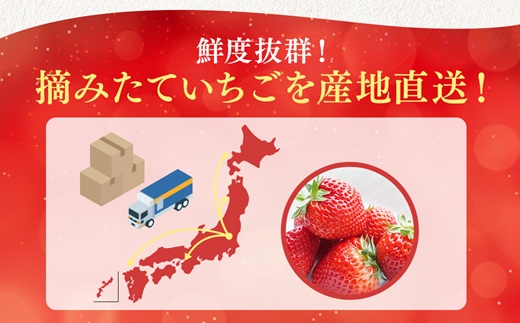 【先行予約】【定期便】いちご市 鹿沼の美味しい「い」「ち」「ご」 とちあいか 15粒入り320g 2パック 2ヶ月連続発送 全2回 お届け ｜ イチゴ 苺 フルーツ 果物 甘い 贈答用 かぬま ※沖縄