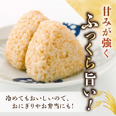 ふるさと納税 東御市 【里山JAPAN】長野県産!生きた土壌で育った御牧原米こしひかり 玄米(令和7年産)　5kg |  | 01