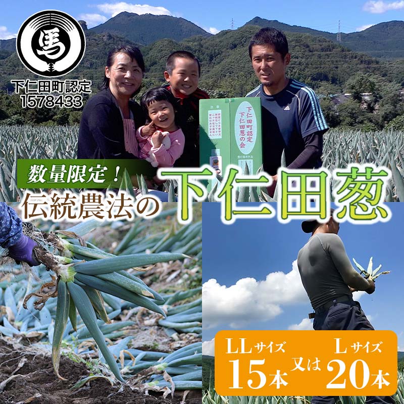 【ふるさと納税】伝統農法の下仁田葱（LL15本またはL20本） とろける 甘い ねぎ ネギ 王様ねぎ 特産 栄養たっぷり ブランド 上州ねぎ すきやき F21K-574