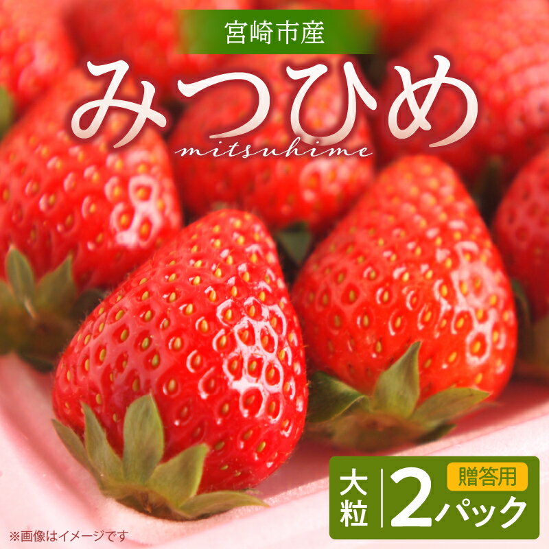【ふるさと納税】《2026年発送》【数量・期間限定】【贈答用】宮崎市産 いちご みつひめ 2パック ストロベリー 果物 フルーツ スイーツ デザート 旬の果物 旬のフルーツ 季節の果物 季節のフルーツ 旬 季節 贈答 贈り物 ギフト プレゼント お祝い 内祝い 誕生日 宮崎市