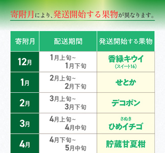 【ふるさと納税】三豊市を家族で味わう定番フルーツ定期便（年12回）コース_M02-0137