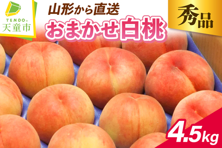 もも ( おまかせ 白桃 ) 4.5kg フルーツ 果物 山形 
