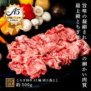 【ふるさと納税】とちぎ和牛 A5 切り落とし 約 500g ｜ 国産 和牛 牛 肉 生産者 認定 銘柄 A5 旨味 うまみ きめ細かい 品質 柔らかく 芸術品 特産品 栃木県 真岡市 送料無料 栃木県共通返礼品