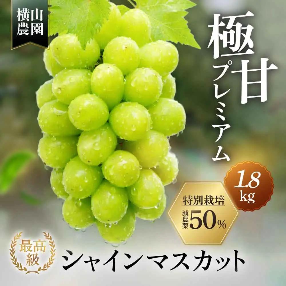 特別栽培 減農薬 シャインマスカット 1.8㎏ 3房 山梨シャインマスカット