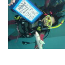 【ふるさと納税】【Cカードライセンス不要】BIG BLUE　ダイビング専用温水プールで体験ダイビング【1489916】