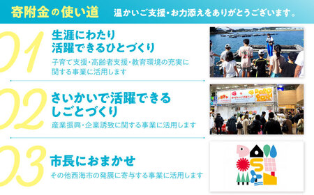 【返礼品なし】 長崎県 西海市 ふるさと応援寄附金（5万円分）【長崎県西海市】[CZZ035]