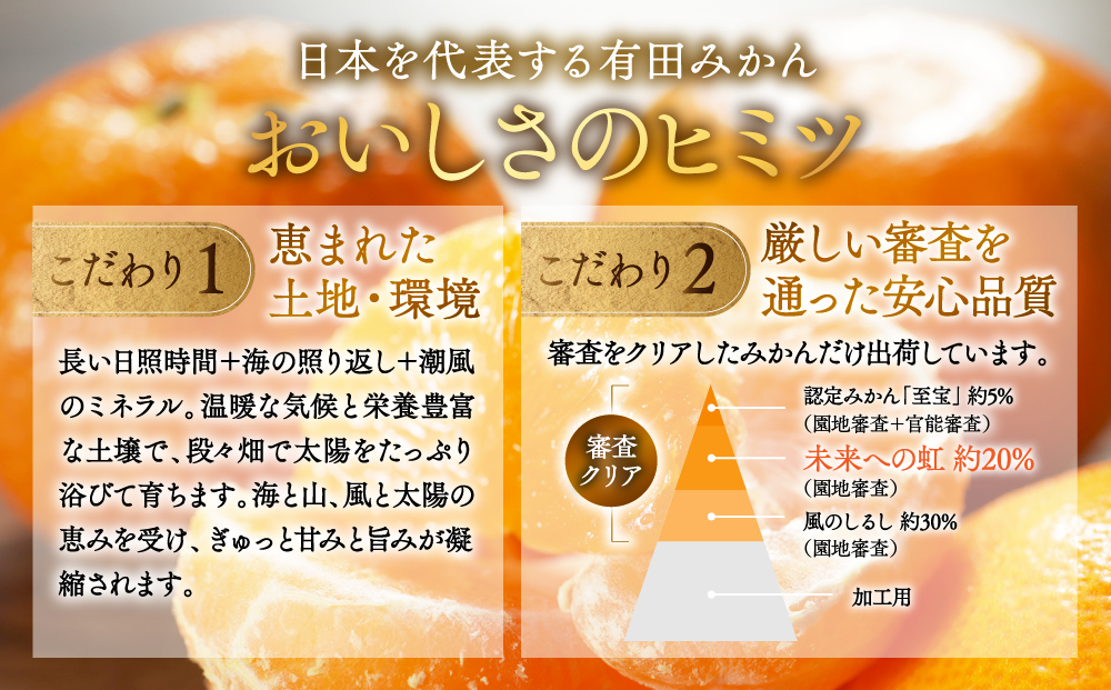 有田みかん「未来への虹」10kg(A2-2)