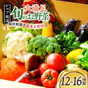 【ふるさと納税】 旬の 野菜セット 【シェフの目線】 野菜 詰め合わせ セット 有機 農薬不使用 新鮮 健康 サラダ＼レビューキャンペーン中／愛媛県大洲市/ヒロファミリーフーズ [AGBX003] 24000円 24000 二万四千 二万四千円