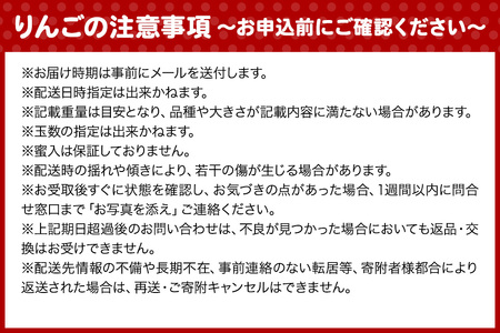 【26年1月～発送】りんご【家庭用】葉とらず サンふじ 約5kg 糖度13度以上