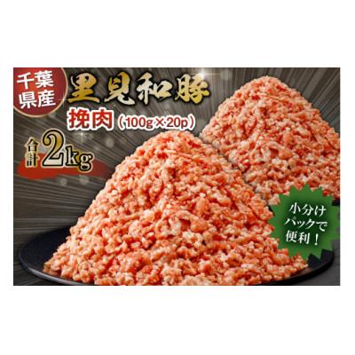 ふるさと納税 南房総市 房総ブランド豚　里見和豚　挽肉2kg mi0017-0016