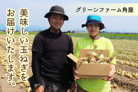 【先行予約】2024年6月発送  採れたて 新玉ねぎ 10kg（サイズ S M L ミックス）田んぼで育てた甘くて柔らか自慢の玉ねぎ！／ 常備 野菜 玉葱 たまねぎ