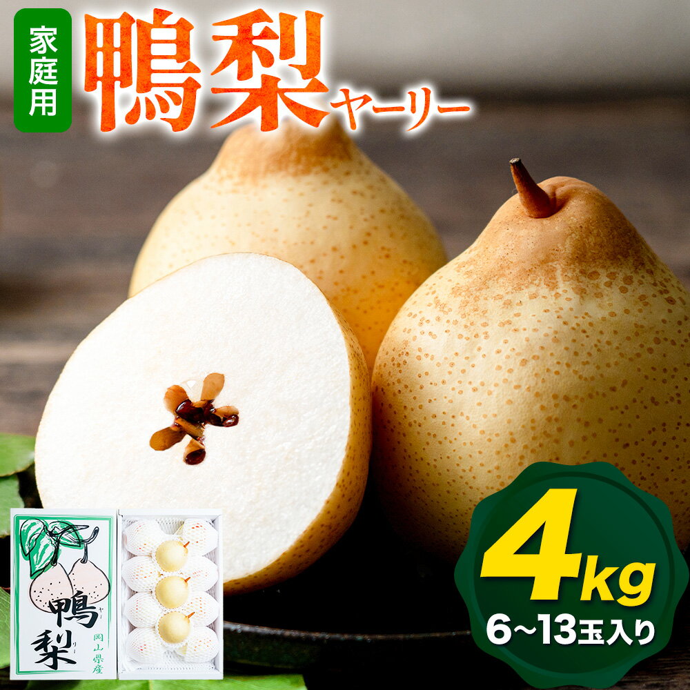 【ふるさと納税】【先行予約】ご家庭用 梨 なし ナシ ヤーリー 鴨梨 備前乙女梨 約4kg 6〜13玉《2026年11月中旬-12月下旬頃より発送予定》石原果樹園 岡山県 浅口市 果物 フルーツ 新鮮 訳あり