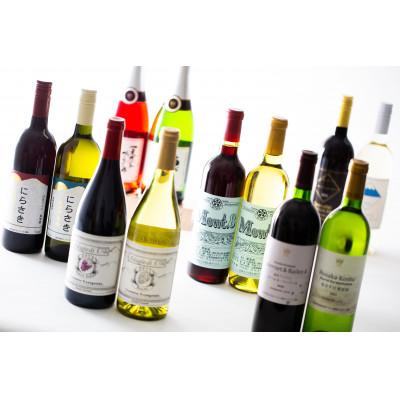 ふるさと納税 韮崎市 韮崎産 赤白スパークリング12本 飲み比べセット　750ml×11本　720ml×1本 |  | 01