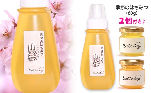 
国産 はちみつ 山桜はちみつ ＆ 季節のはちみつセット 養蜂家 齊藤兄弟 Bee concierge ビーコンシェルジュ
