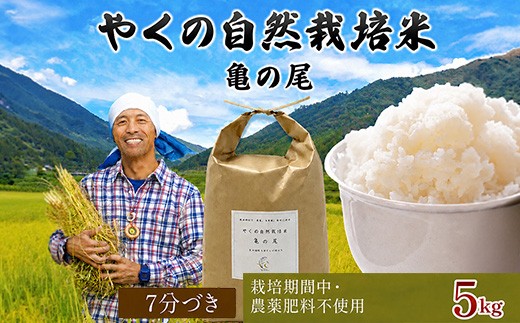 ＜令和8年産・先行予約＞やくの自然栽培米 亀の尾 (7分づき・5kg) 【fc-EV004-A】【ゆたか（ゆたか自然農園）】