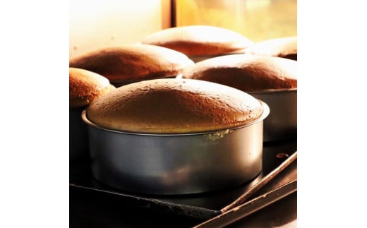 
信楽バターカステラ「炎」
