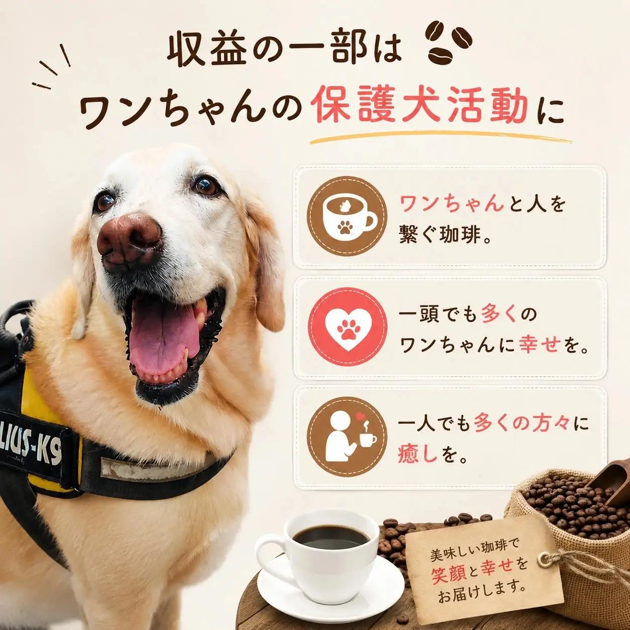 コーヒー豆 タンザニア 200g × 2袋 ann's cafe コーヒー豆