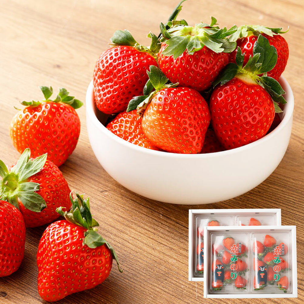 【ふるさと納税】熊本県産いちご 恋みのり 4パック 約1000g 約24～44個 果物 フルーツ 苺 イチゴ 旬 冷蔵 九州 熊本県 送料無料 【2026年1月上旬発送開始】