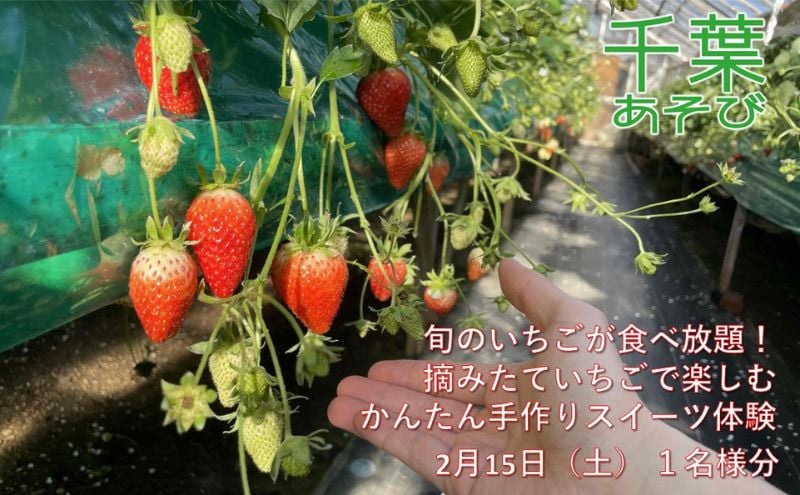 
            2月15日（土）旬のいちごが食べ放題！摘みたていちごで楽しむかんたん手作りスイーツ体験 1名様分 いちご狩り いちご スイーツ 体験 千葉あそび 千葉市 [№5346-1207]
          