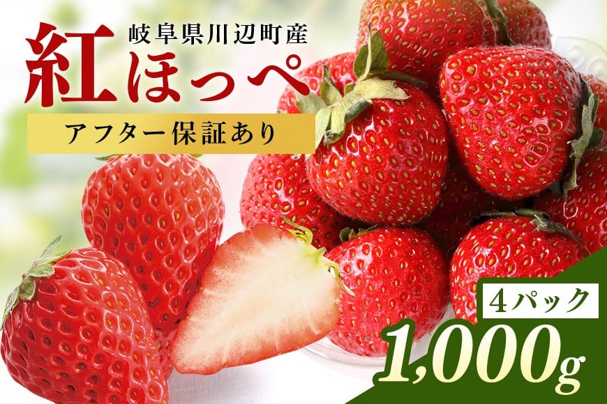 
                  【期間・数量限定】岐阜県川辺町産いちご（紅ほっぺ）4パック（※一部地域配送不可）│苺 旬 フレッシュ フルーツ 果物 国産 ベリー ふるさと納税苺 ふるさと苺 おすすめ苺
                
