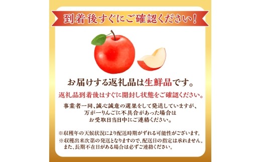 【先行予約：2026年10月中旬より発送】りんご（レッドゴールド）2.8kg【北海道余市町産】