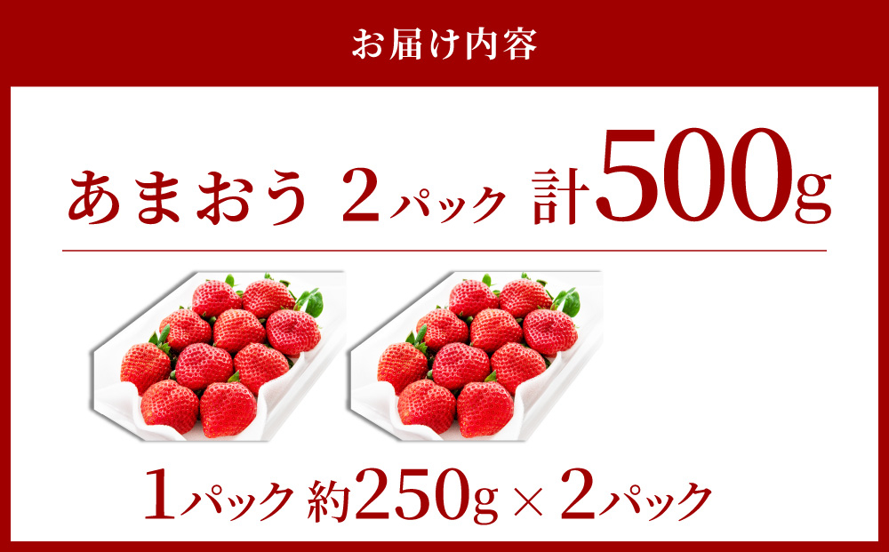 アフター保証対象！【先行予約】福岡産 冬 あまおう 2パック（12月上旬より発送） | 苺 いちご イチゴ 完熟 あかい まるい おおきい うまい フルーツ 果物 デザート 期間限定 産地直送 冷蔵 お取り寄せ グルメ 送料無料 福岡県 那珂川市