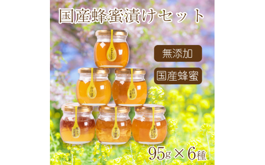 
はちみつ 国産 蜂蜜漬け セット 570g( 95g×6種 ) 山口県産 下関
