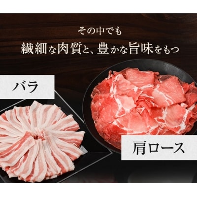 かごしま黒豚しゃぶしゃぶセット(鍋つゆ付き)【配送不可地域：離島】