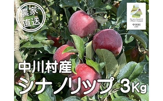 担当者おすすめ「味覚の里なかがわ」の旬のくだもの（シナノリップ３Kg箱）８月10日～８月16日発送予定