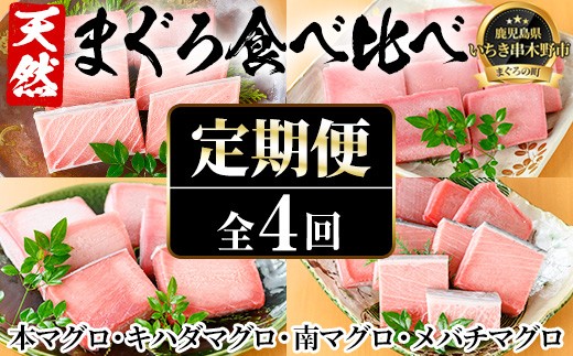 【4か月定期便】厳選！4種の天然まぐろを食べ比べ！ メバチマグロ キハダマグロ 南まぐろ 本まぐろ 小分け【00-041-16-TK】