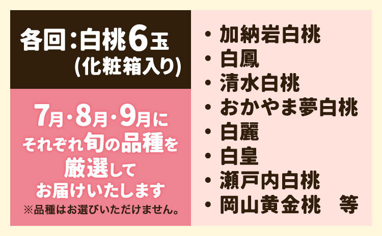 【2026年先行予約】岡山の桃食べ比べ定期便3回コース 株式会社山博 (中本青果)《2026年7月上旬-9月下旬頃出荷》岡山県 浅口市 桃 もも フルーツ 旬 果物 国産 岡山県産 送料無料 冷蔵 食