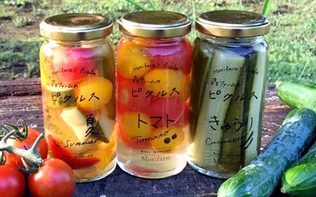 BI89_【無添加】季節の森ファームのピクルス 6個セット ※着日指定不可