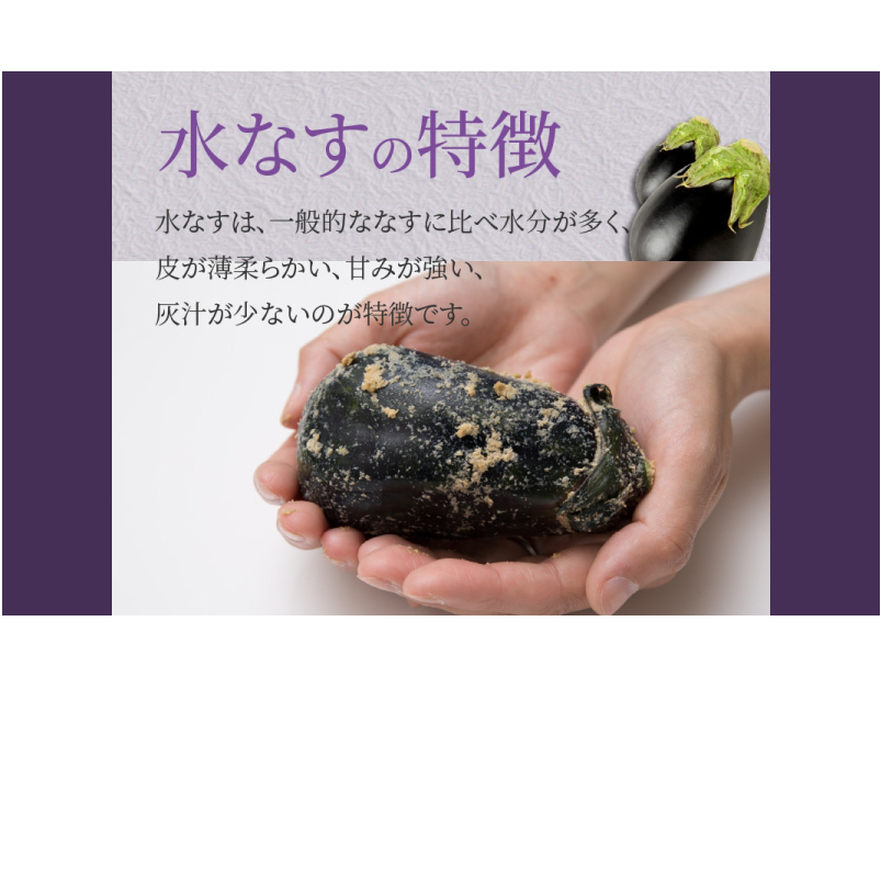 特選水なす浅漬け＆生なす 11個入り【食べ比べ 新鮮 野菜 泉佐野産 茄子 やさい 高評価 数量限定】 020C571