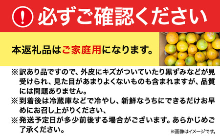 【ご家庭用訳あり】希少な国産 バレンシアオレンジ 約7kg