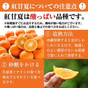＜先行予約受付中！2027年1月中旬以降順次発送予定＞訳あり紅甘夏(約20kg) 国産 鹿児島県 阿久根市 果実 果物 フルーツ 柑橘 紅甘夏 みかん ミカン 期間限定 数量限定【桐野柑橘株式会社】a