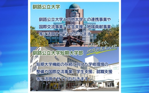 高等教育機関応援 （ 釧路公立大学 ／ 釧路公立大学短期大学部 ） 5,000円 【 返礼品なし 】 北海道 釧路市 大学 応援 大学連携事業 国際交流事業 学生支援 地域貢献 就職支援