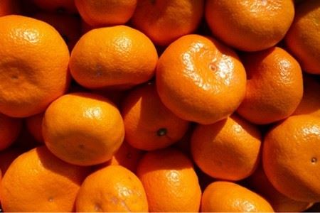 『松田ブランド』数量限定！おひるねみかんジュース180ml　30本